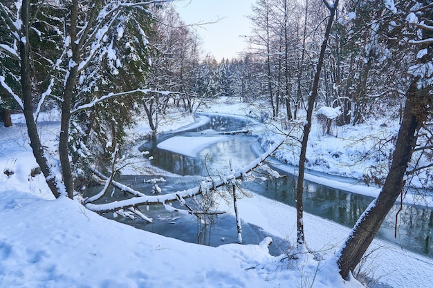 El río atraviesa el bosque nevado durante las heladas severas.