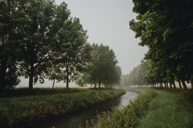Un río atraviesa un campo con árboles y un campo verde.