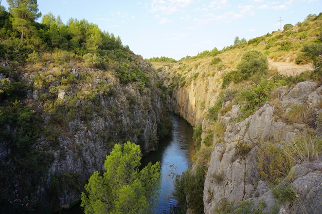 Un río atraviesa un cañón con árboles en primer plano.