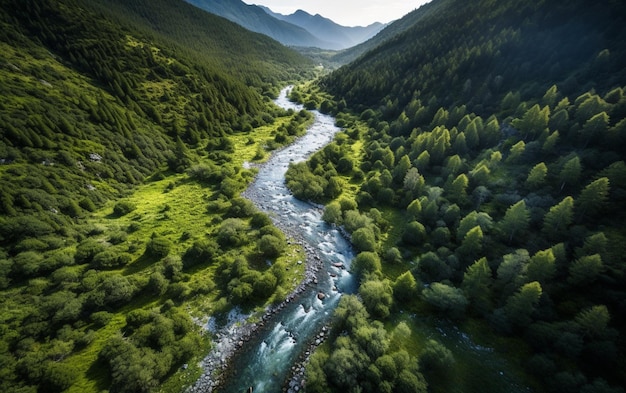 Un río atraviesa un valle con montañas al fondo.