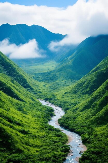 Foto un río atraviesa un valle con un río que lo atraviesa