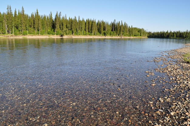 Rio boreal do norte da costa