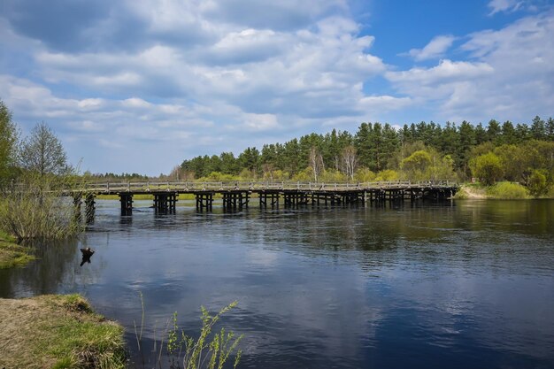 Río del bosque en mayo