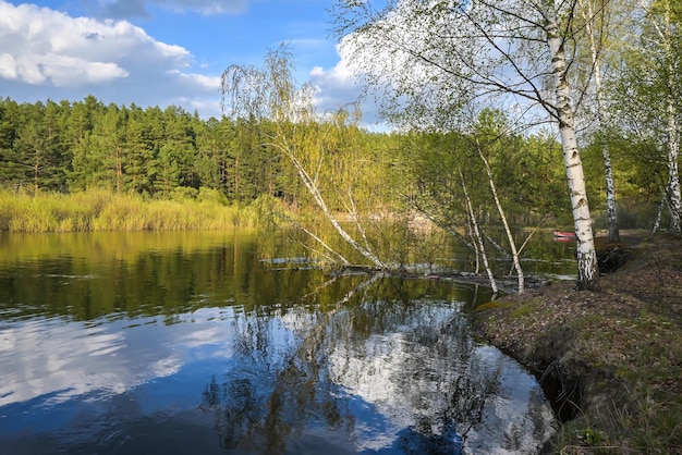 Río del bosque en mayo