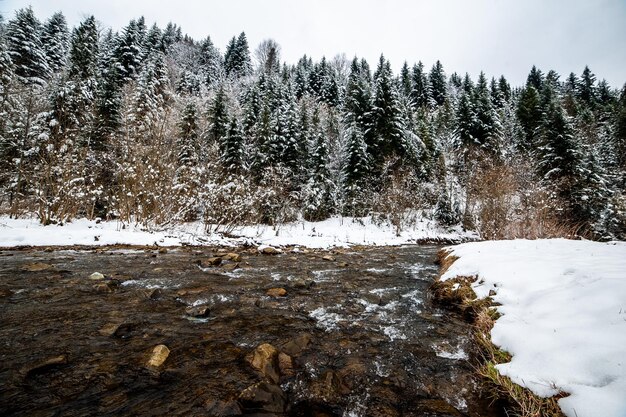 Un río en el bosque con nieve en el suelo y árboles al fondo.