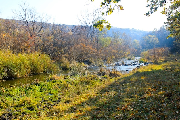 Río en el bosque de otoño