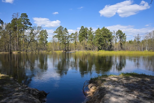 Río del bosque a principios de mayo