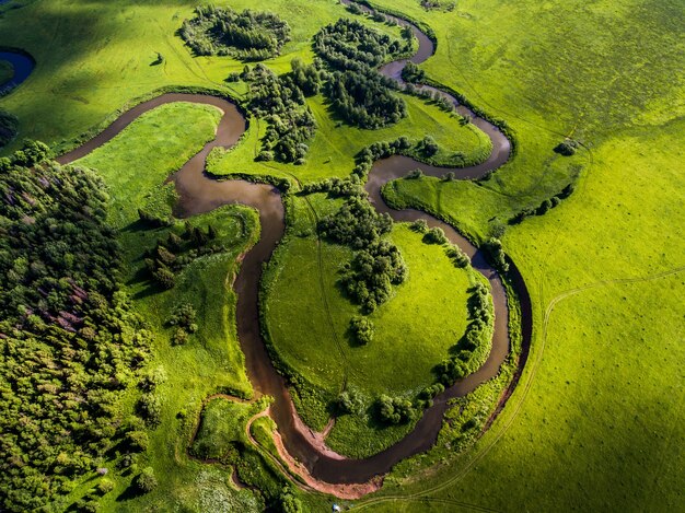 Río entre el bosque verde disparado desde un avión no tripulado en el verano