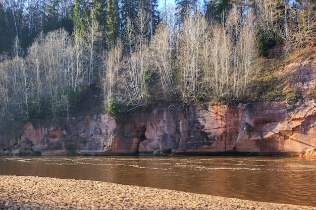 el río en el bosque