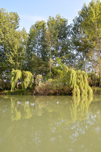 Rio Brenta Selvagem