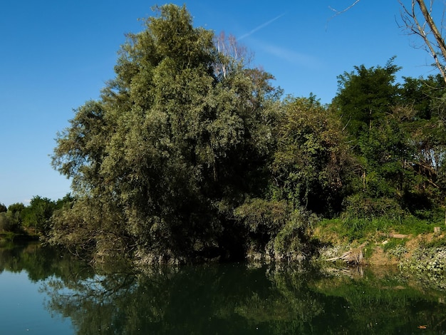 Rio Brenta Selvagem