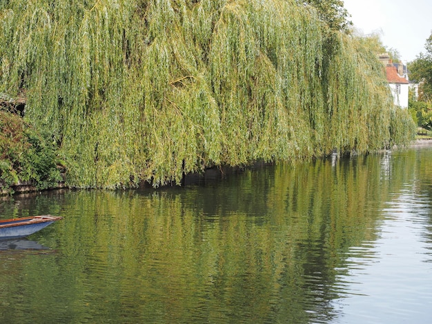 Río Cam en Cambridge