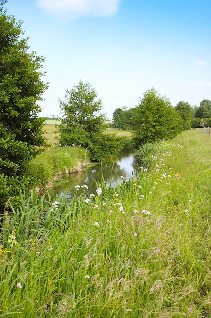 Río en el campo en primavera