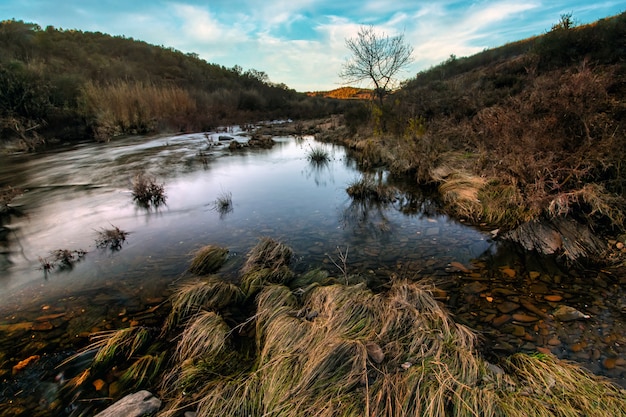 Río de campo saludable