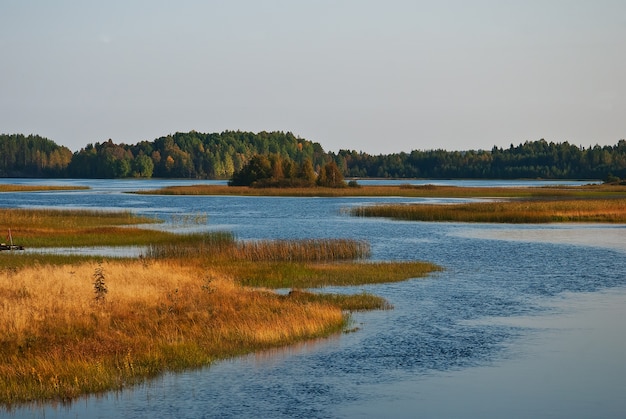 río en el campo