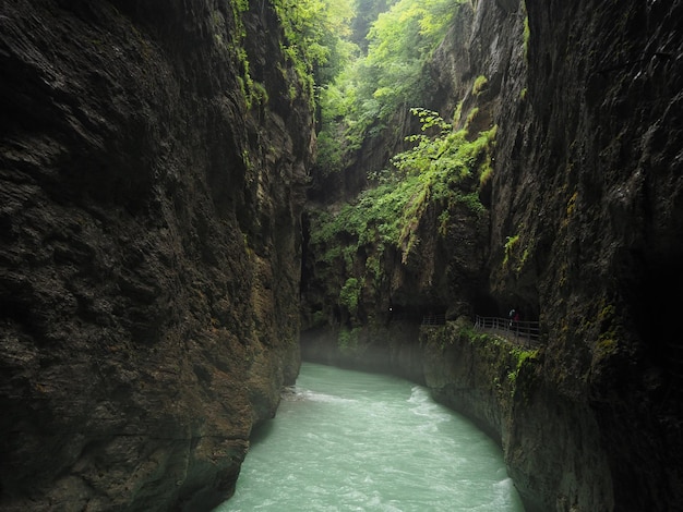 Un río en un cañón con plantas verdes.