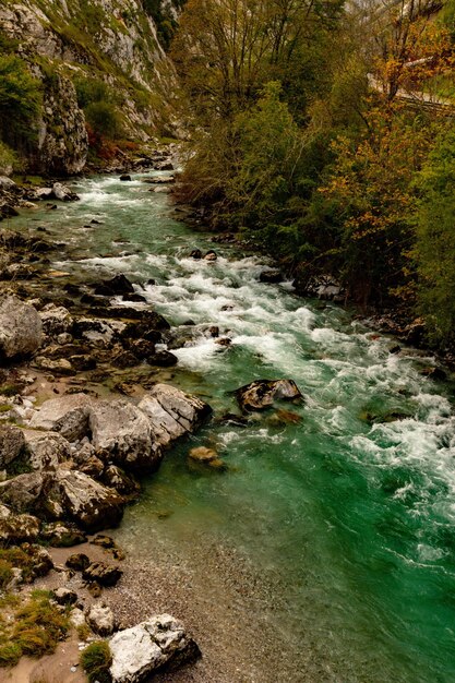 Río Cares, a su paso por la provincia de Asturias.