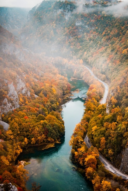 Foto río, carretera y bosque en colores otoñales.