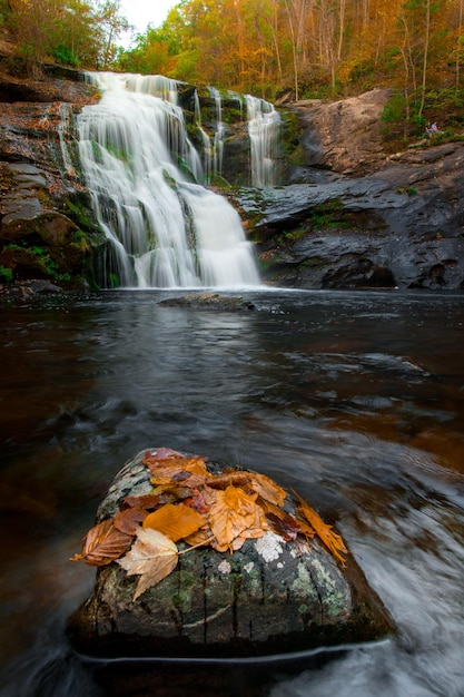 un río con una cascada y una pared de roca