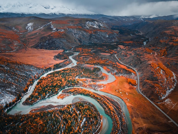 Río Chuya con árboles amarillos de otoño en las montañas de Altai Siberia Rusia