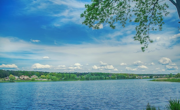 Río y cielo día de verano Enfoque selectivo