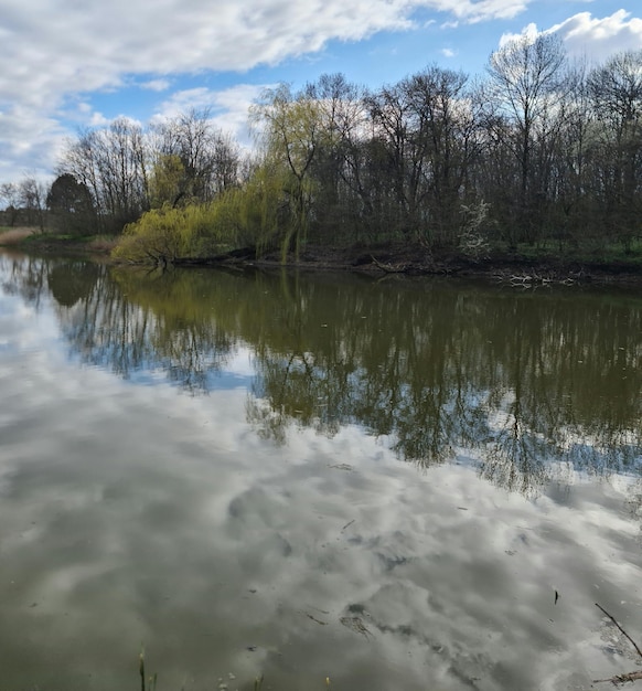 Un río con un cielo nublado y árboles al fondo.