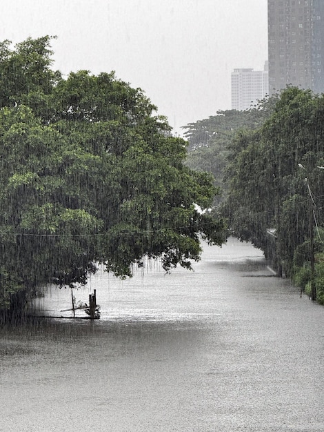 río en la ciudad