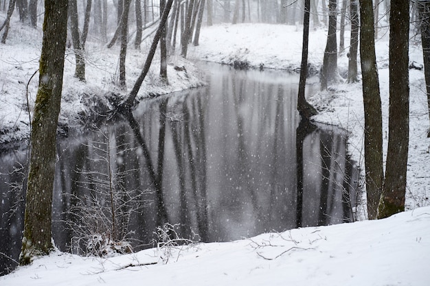 Rio coberto de neve na floresta de inverno