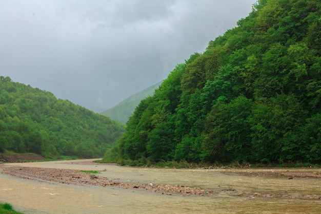 Rio com fundo rochoso fluindo nas montanhas cobertas de árvores