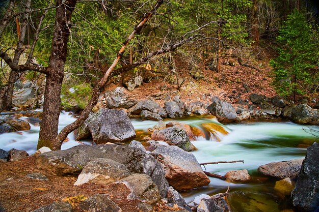 Rio com pedras e cascatas ao lado da árvore de primavera