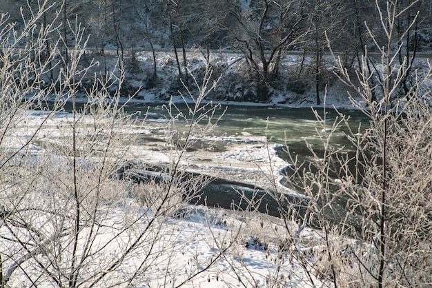 Un río congelado fluye cerca de los árboles en la nieve en un frío día de invierno