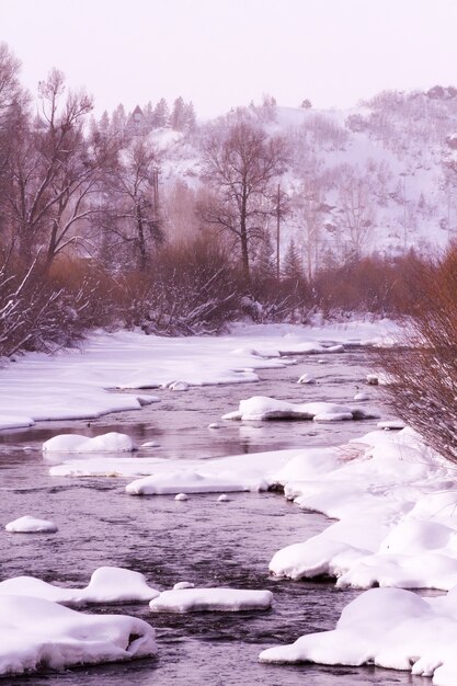 Foto rio congelado no meio do inverno.