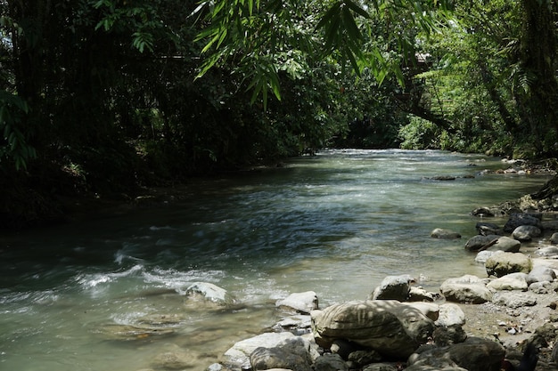 el río corre rápido