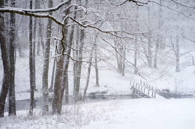 Río cubierto de nieve en bosque de invierno