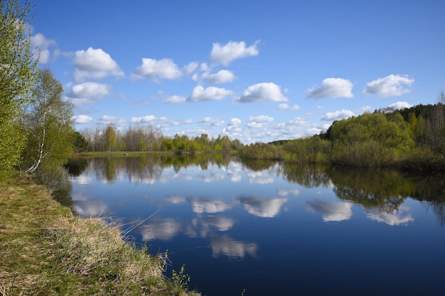 Rio da floresta em maio