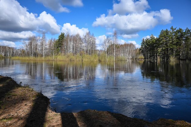 Rio da floresta em maio