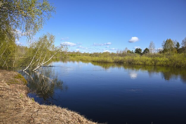 Rio da floresta em maio