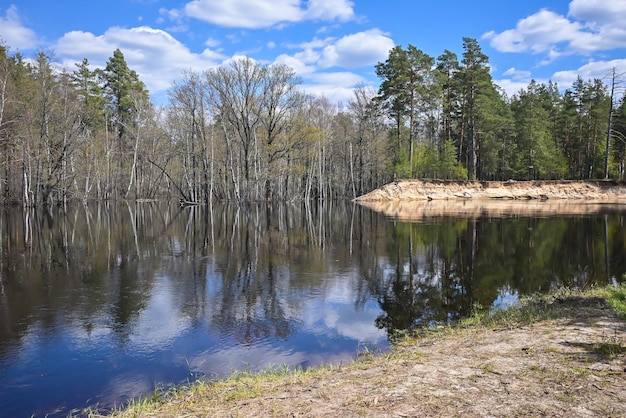 Rio da floresta no início de maio