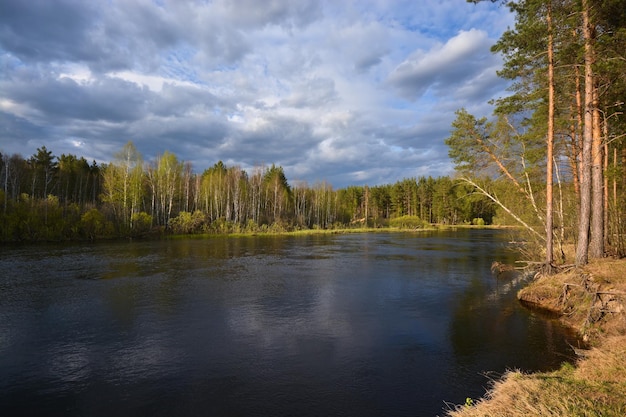 Rio da floresta no parque nacional da Rússia é primavera