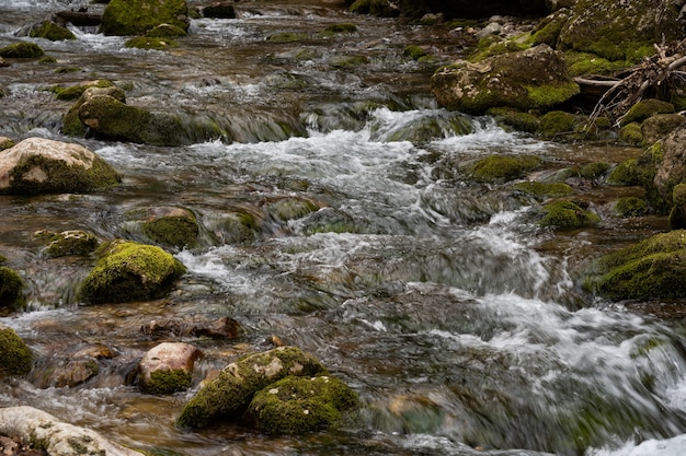 Rio da montanha close-up. Rio raso entre grandes pedras. Curso difícil do rio.