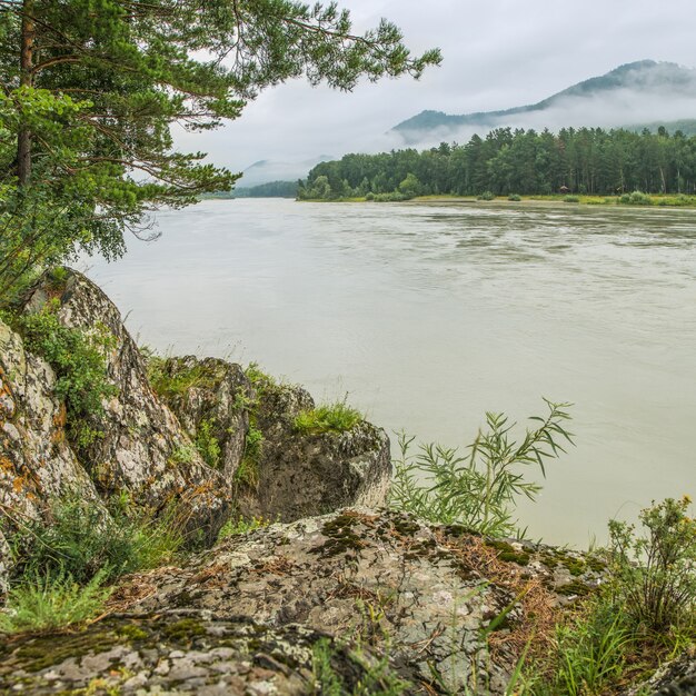 Rio da montanha, manhã nublada