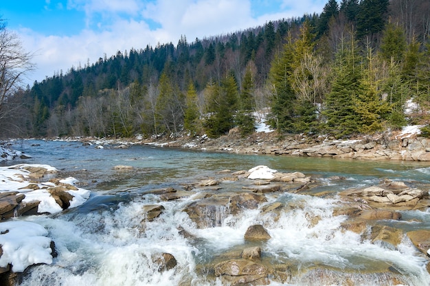 Rio da montanha na primavera