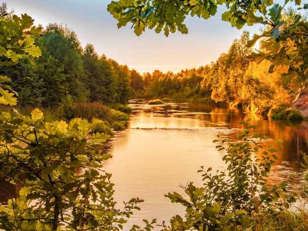 Rio da pequena floresta ao pôr do sol no outono.