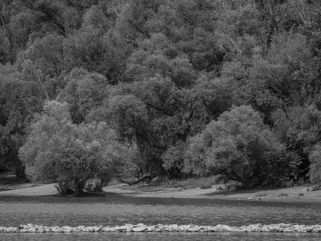 el río Danubio