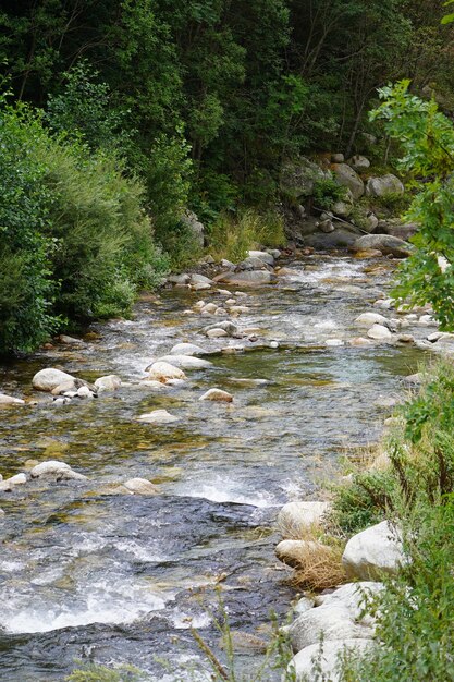 Rio das montanhas da Catalunha