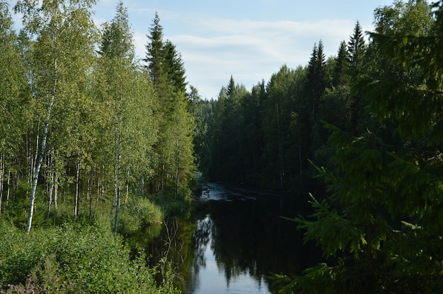 Rio de bela vista no verão em Karelia Ruskeala Marble Canyon Mining Park Ruskeala Sortavala República da Carélia Rússia natureza da rússia