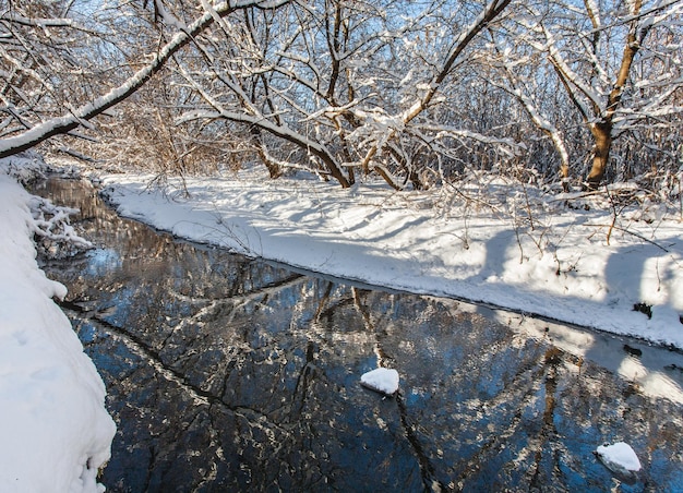 Rio de inverno e árvores na temporada