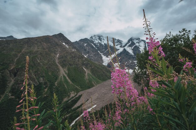 Rio de montanha baksan, ravina adyr-su, área de elbrus, grande cordilheira do cáucaso