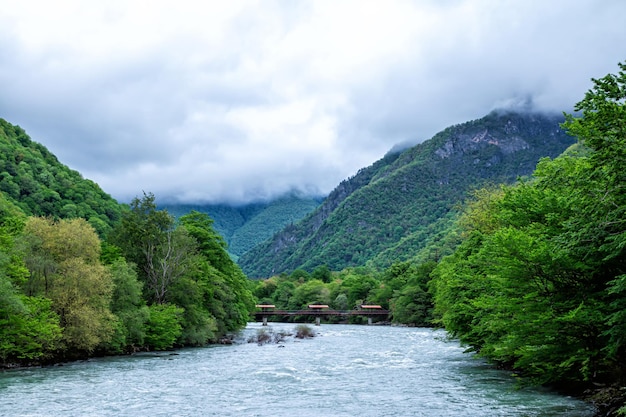 Rio de montanha e floresta coberta de nuvens baixas