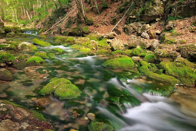 Rio de montanha em terreno florestal e montanhoso.